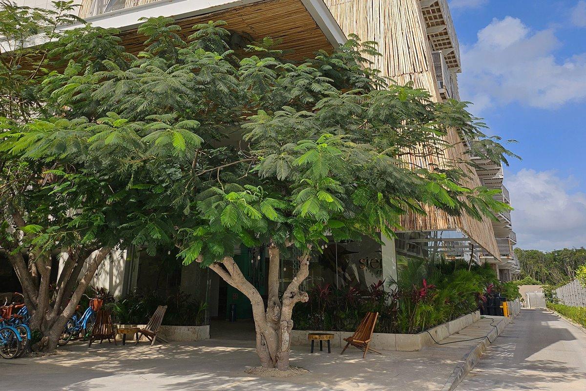 Siente Tulum Hotel Exterior photo